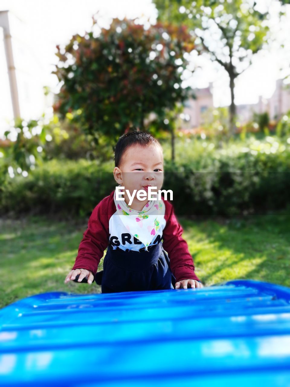 Cute boy playing in lawn