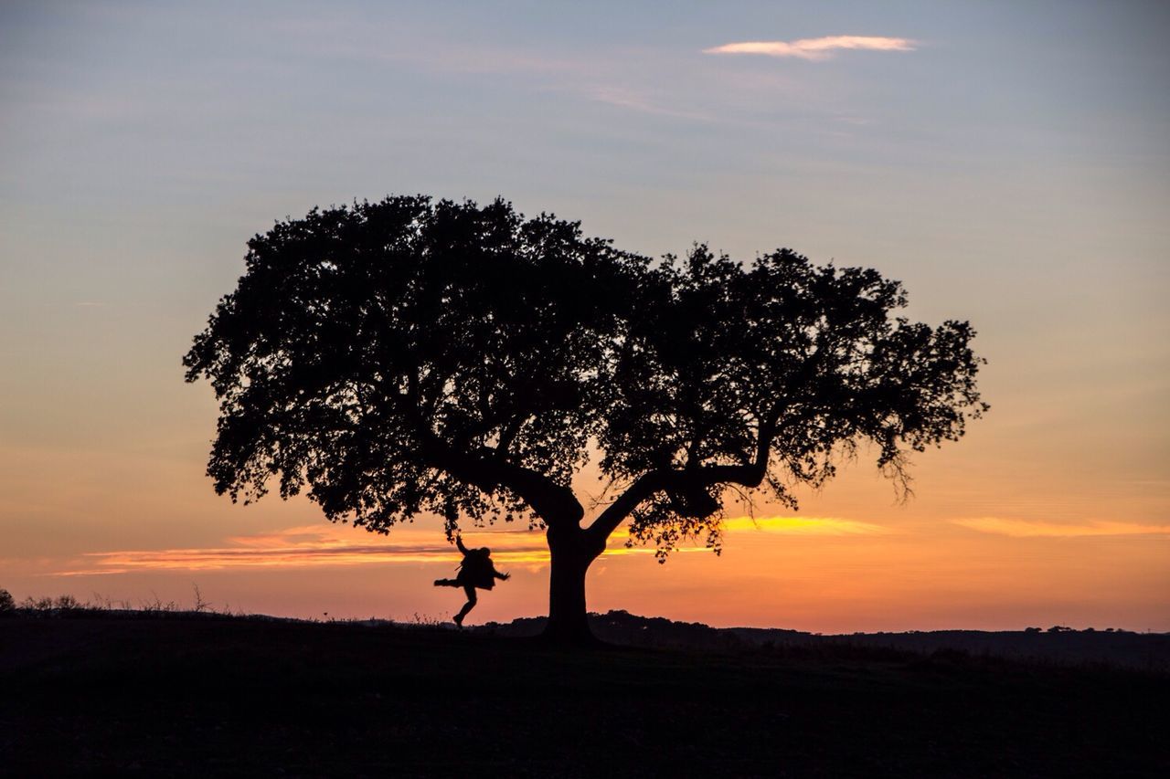 Silhouette man by tree on landscape against scenic sky