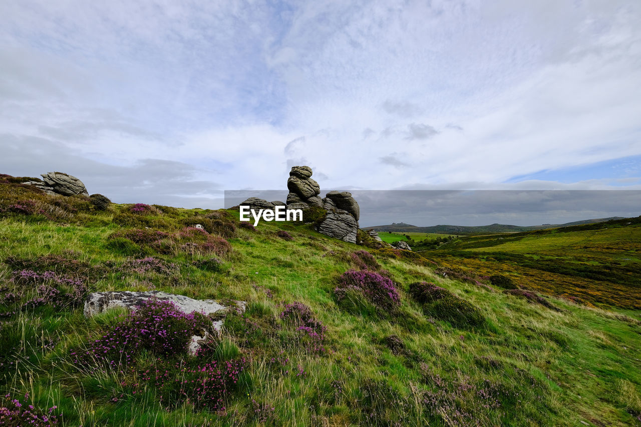 Honeybag tor