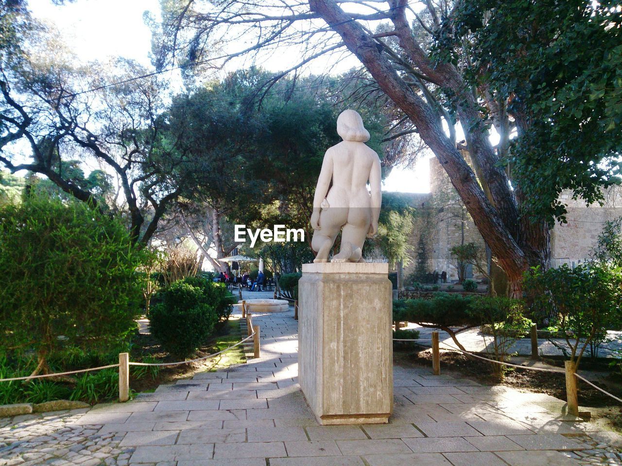 STATUE OF MAN AGAINST TREE