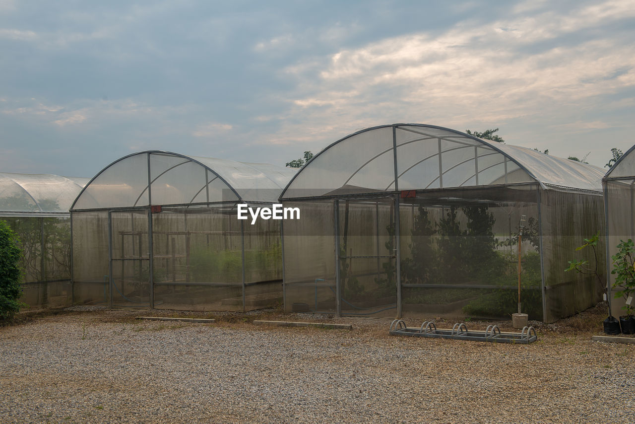 PLANTS GROWING IN GREENHOUSE AGAINST SKY