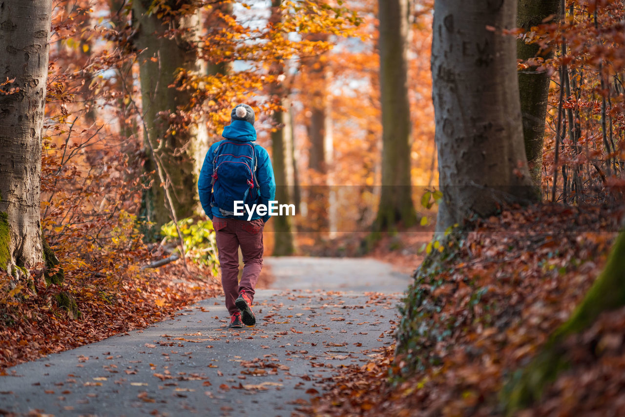 Rear view of woman walking on footpath in forest during autumn