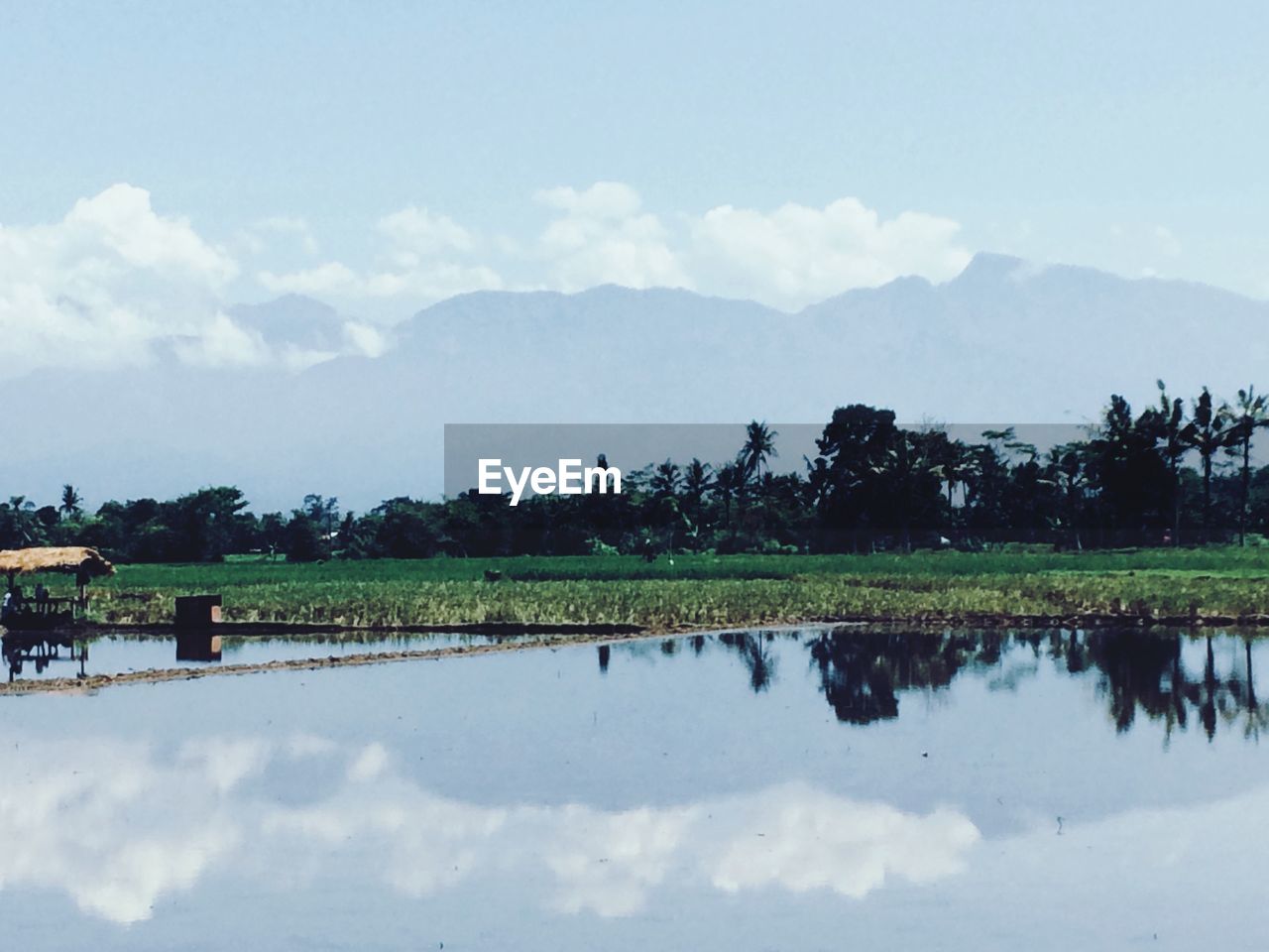 SCENIC VIEW OF LAKE AND TREES AGAINST SKY