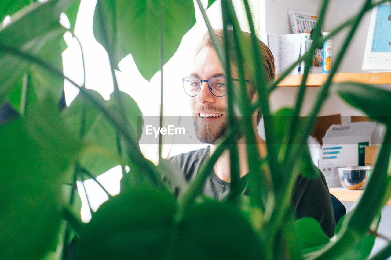 Smiling young man seen through plants in office