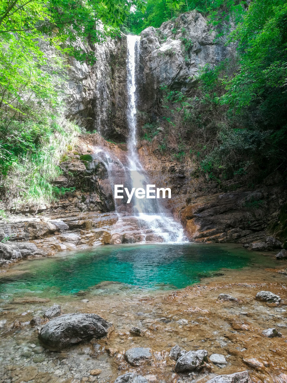 WATERFALL IN FOREST