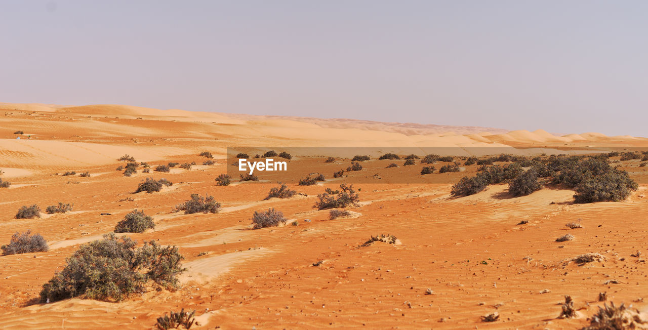 Scenic view of desert against clear sky