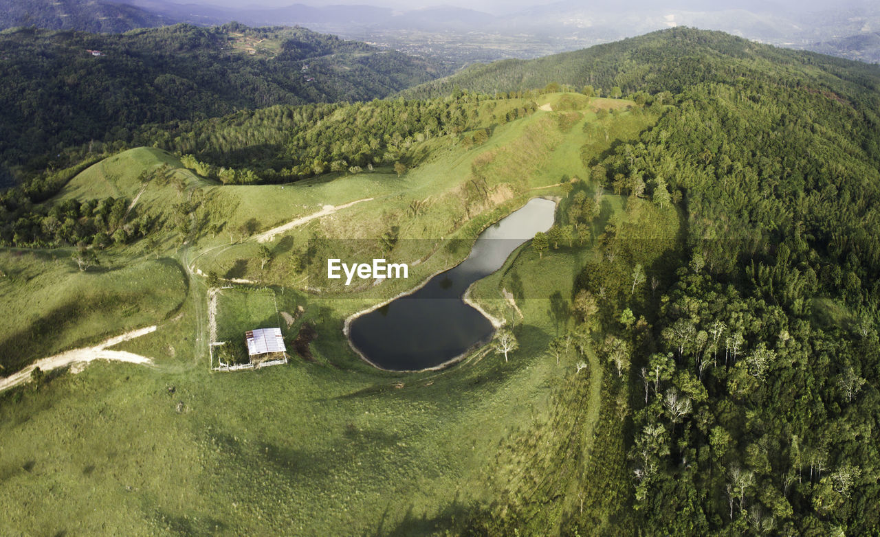 HIGH ANGLE VIEW OF TREES ON LANDSCAPE
