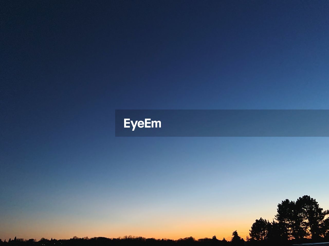 SILHOUETTE TREES AGAINST CLEAR SKY DURING SUNSET