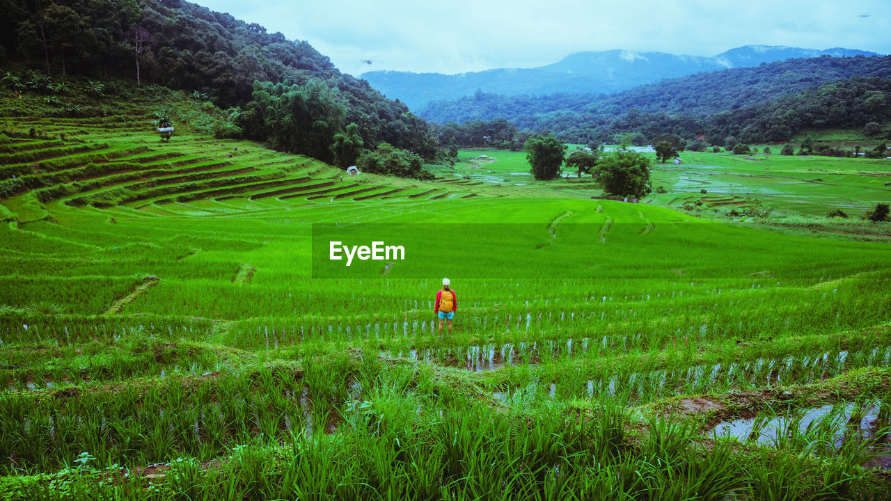 Man standing in agricultural field