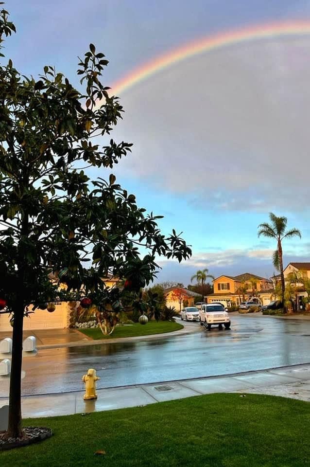 rainbow, tree, plant, water, nature, sky, beauty in nature, cloud, multi colored, architecture, scenics - nature, environment, grass, no people, tranquility, reflection, transportation, idyllic, sunlight, travel destinations, built structure, building exterior, landscape, city, outdoors, land, tranquil scene, day, travel, mode of transportation, building, lake, morning, wet, beach