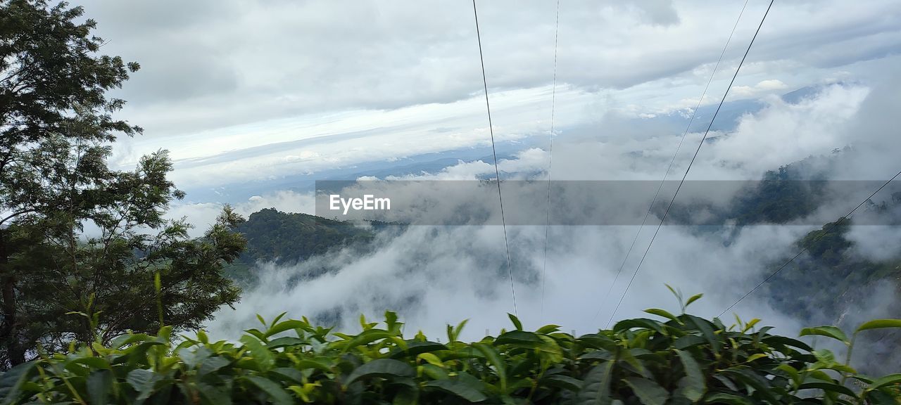 cloud, environment, plant, nature, fog, tree, landscape, sky, land, beauty in nature, scenics - nature, mountain, forest, social issues, outdoors, no people, rainforest, travel, water, growth, environmental conservation, green, day, leaf, plant part, tropical climate, non-urban scene, travel destinations
