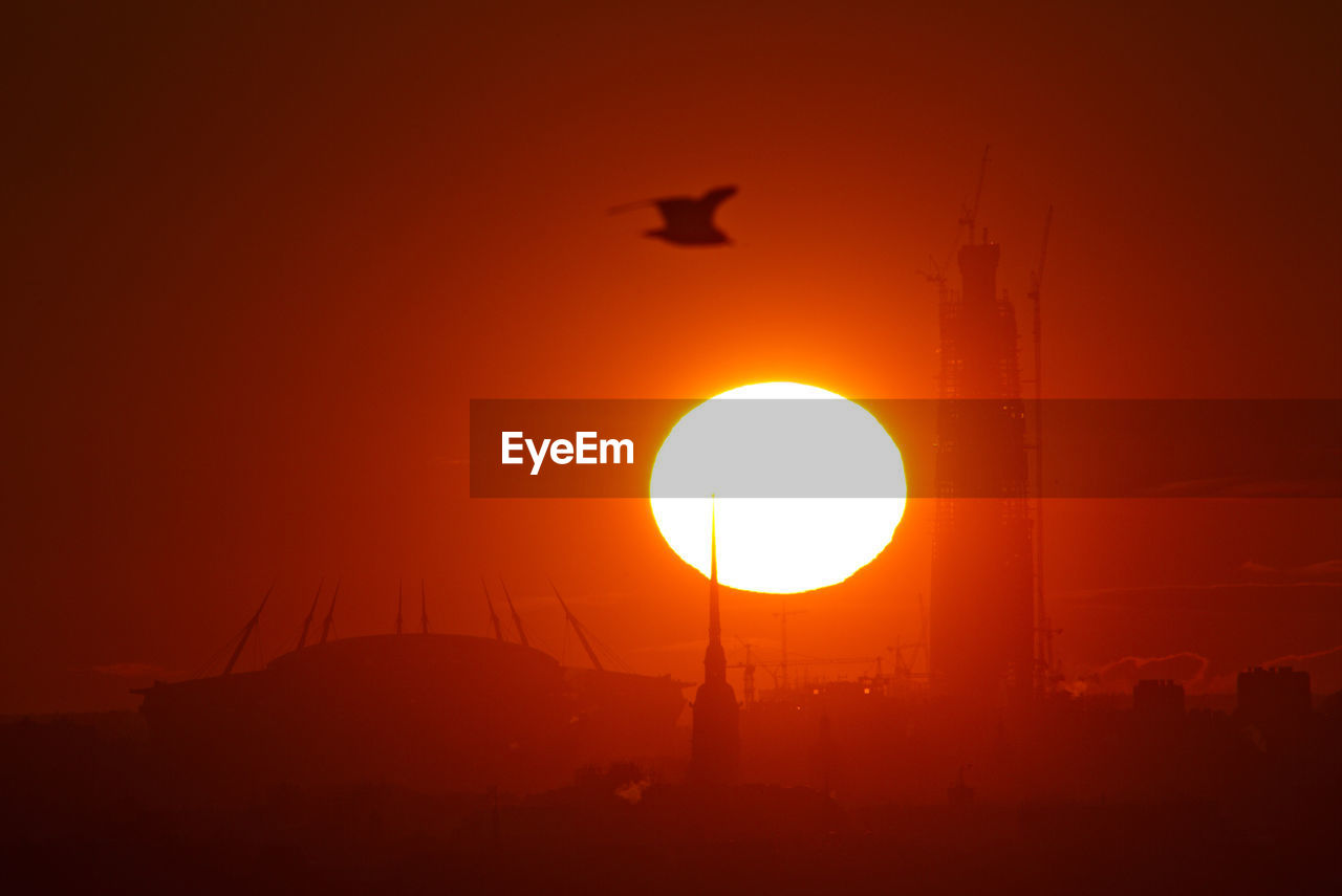 SILHOUETTE OF BIRD FLYING AGAINST ORANGE SKY