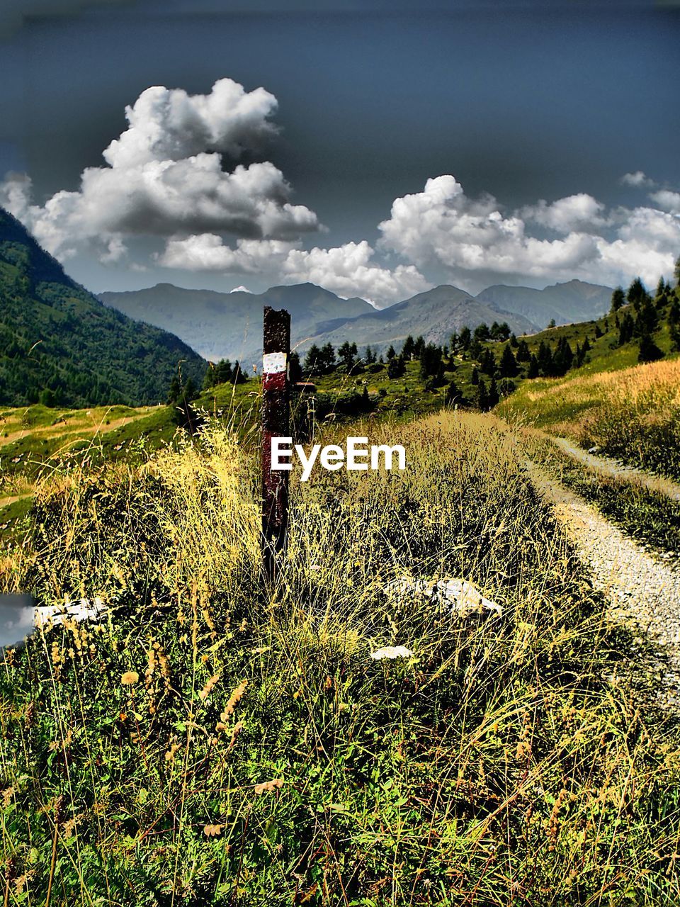 VIEW OF FIELD AGAINST CLOUDY SKY