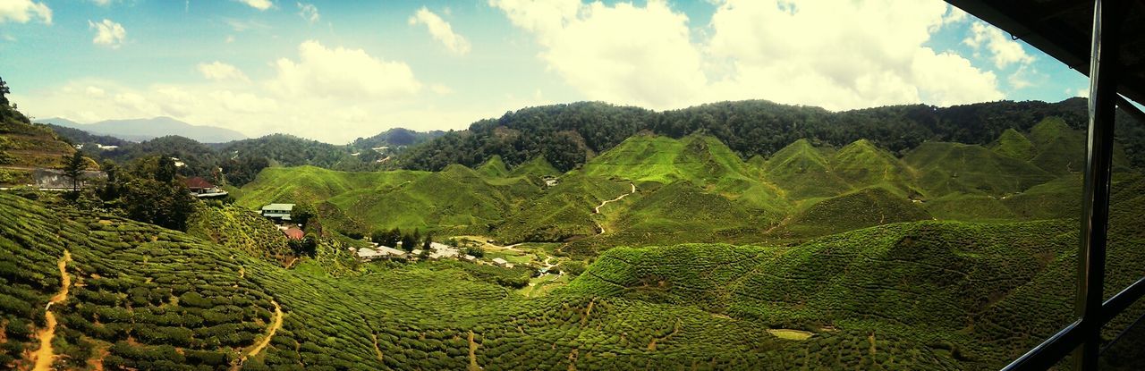 SCENIC VIEW OF RURAL LANDSCAPE