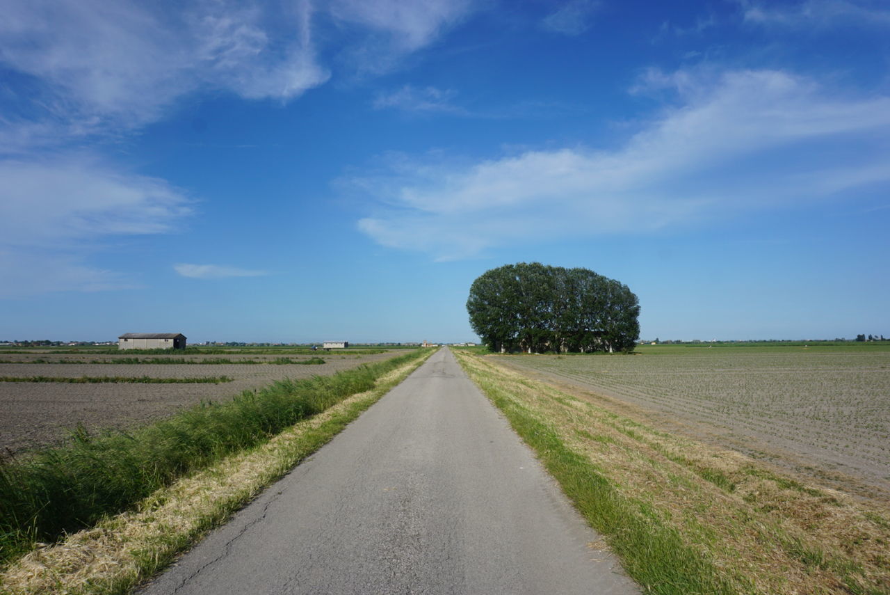 Road amidst field against sky