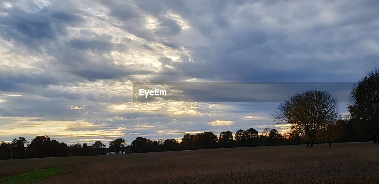 TREES ON FIELD AGAINST SKY DURING SUNSET