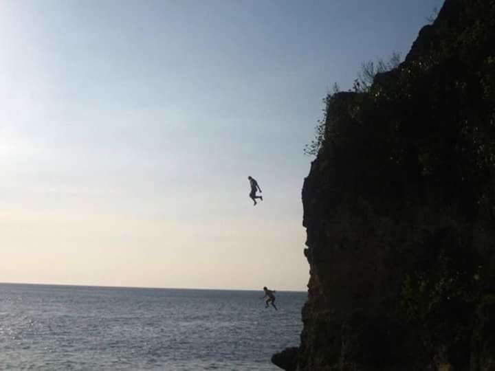 VIEW OF BIRDS FLYING OVER SEA