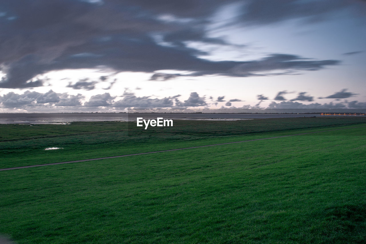 SCENIC VIEW OF FIELD AGAINST CLOUDY SKY