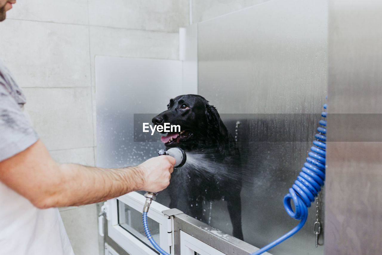 Man cleaning dog with water