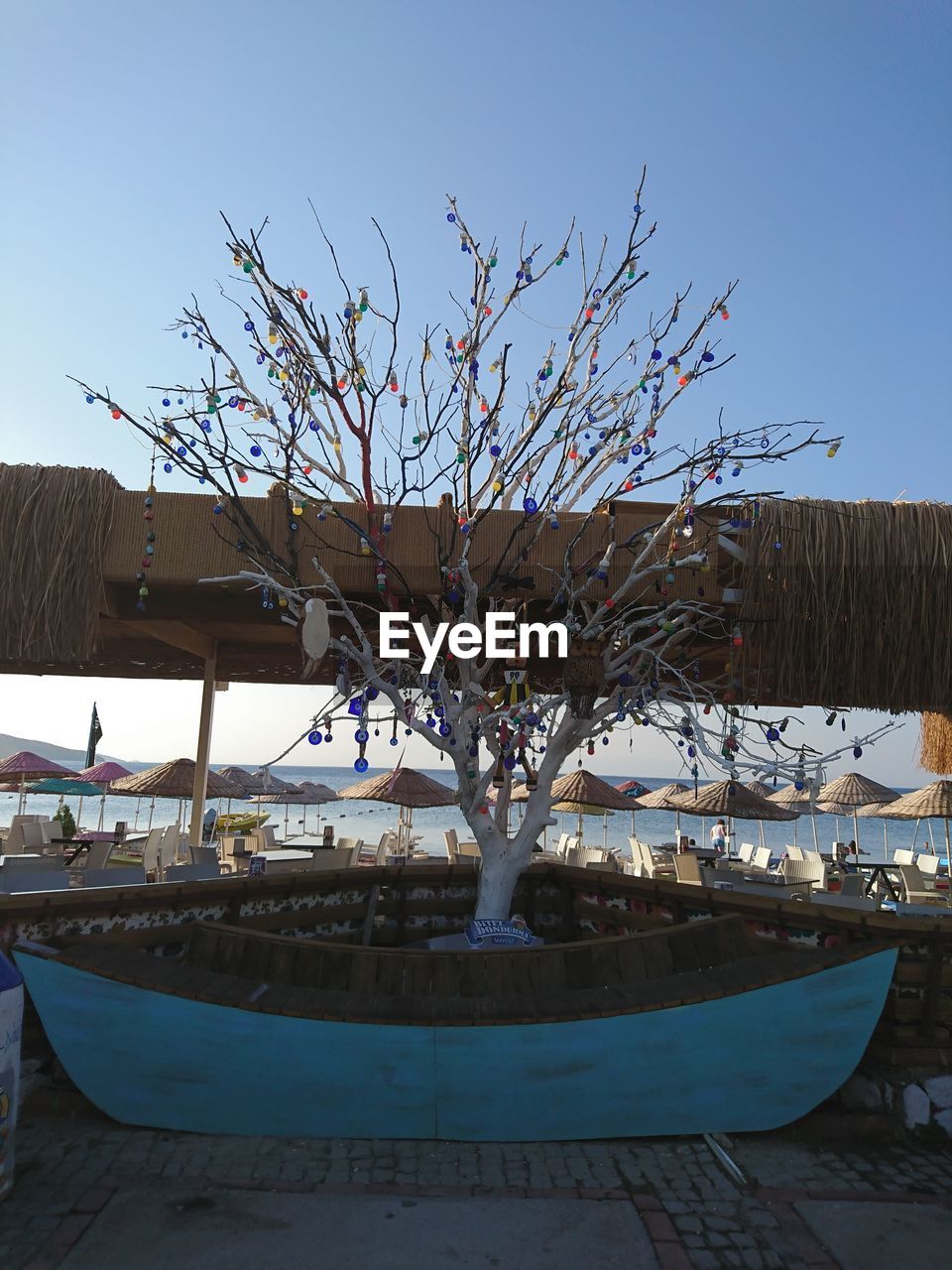 CLOSE-UP OF TREE BY BOAT AGAINST CLEAR SKY