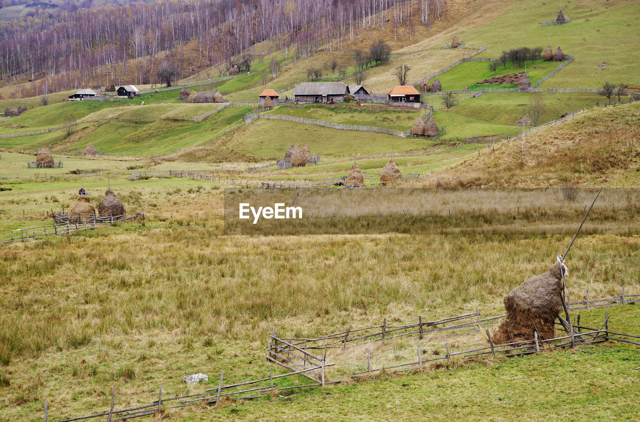 High angle view of green landscape 