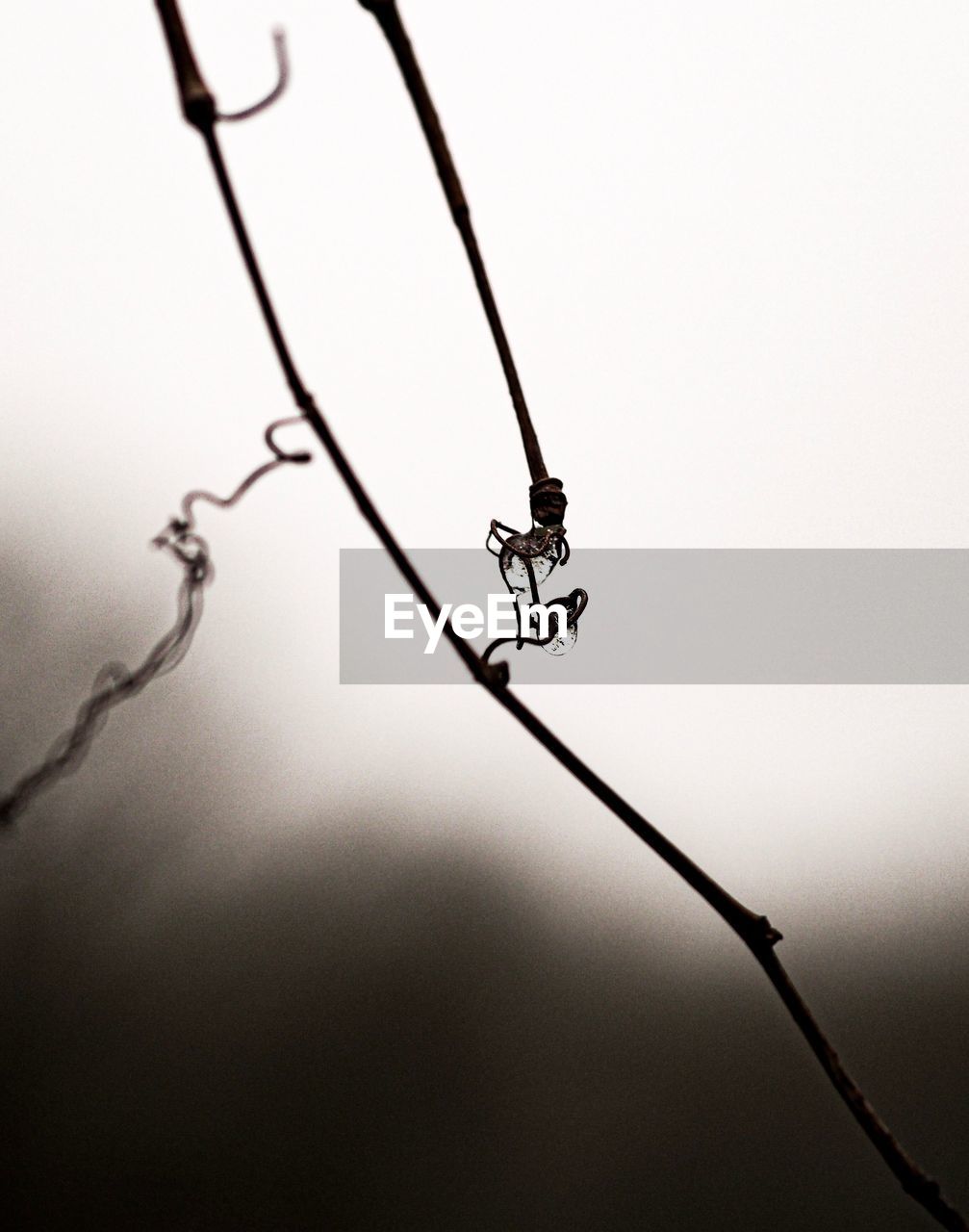 LOW ANGLE VIEW OF BARBED WIRE AGAINST SKY