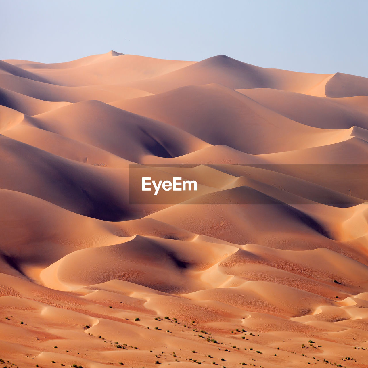Desert landscape in the uae, sand dunes