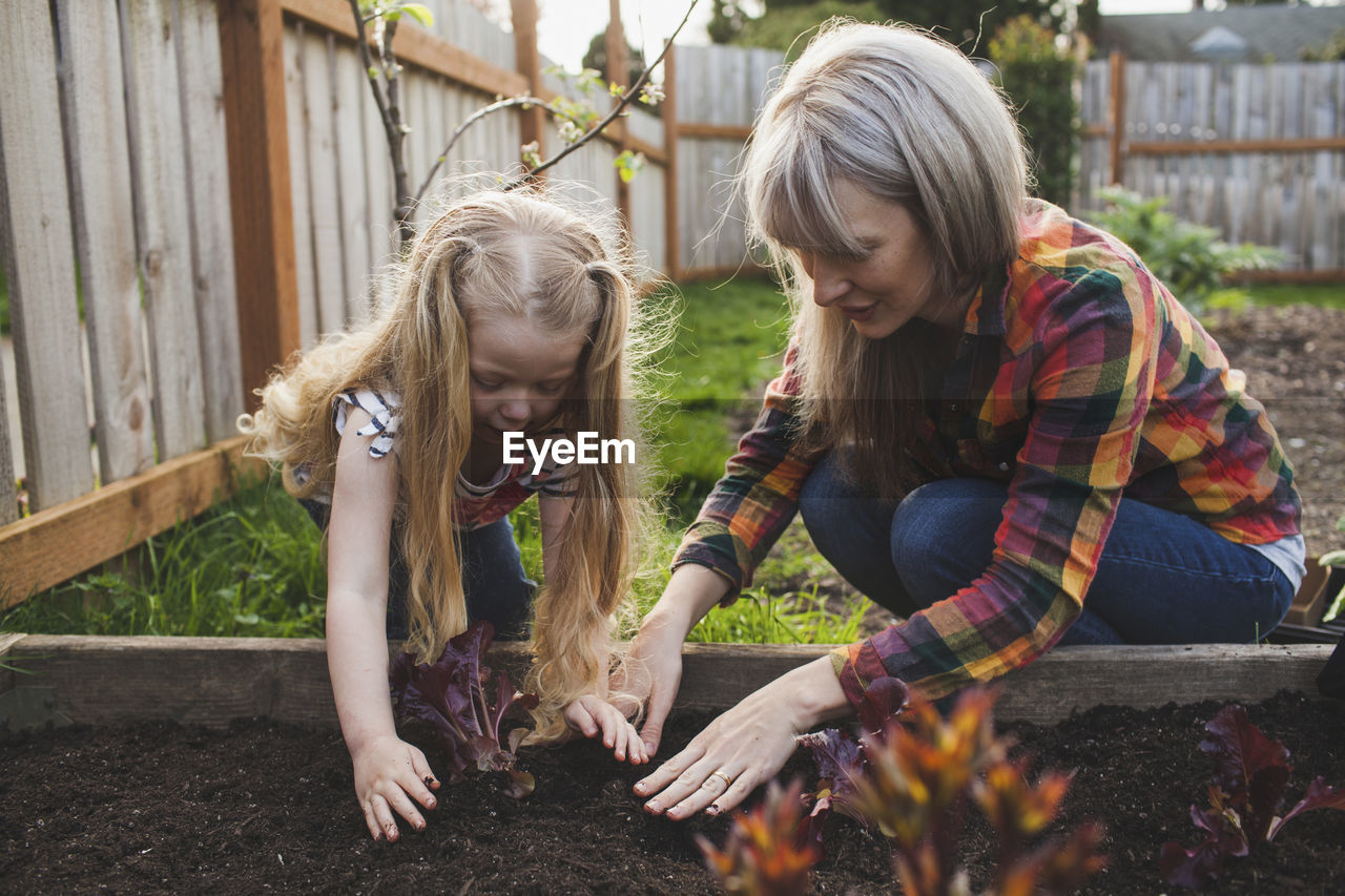 Girl with mother planting in raised bed at backyard