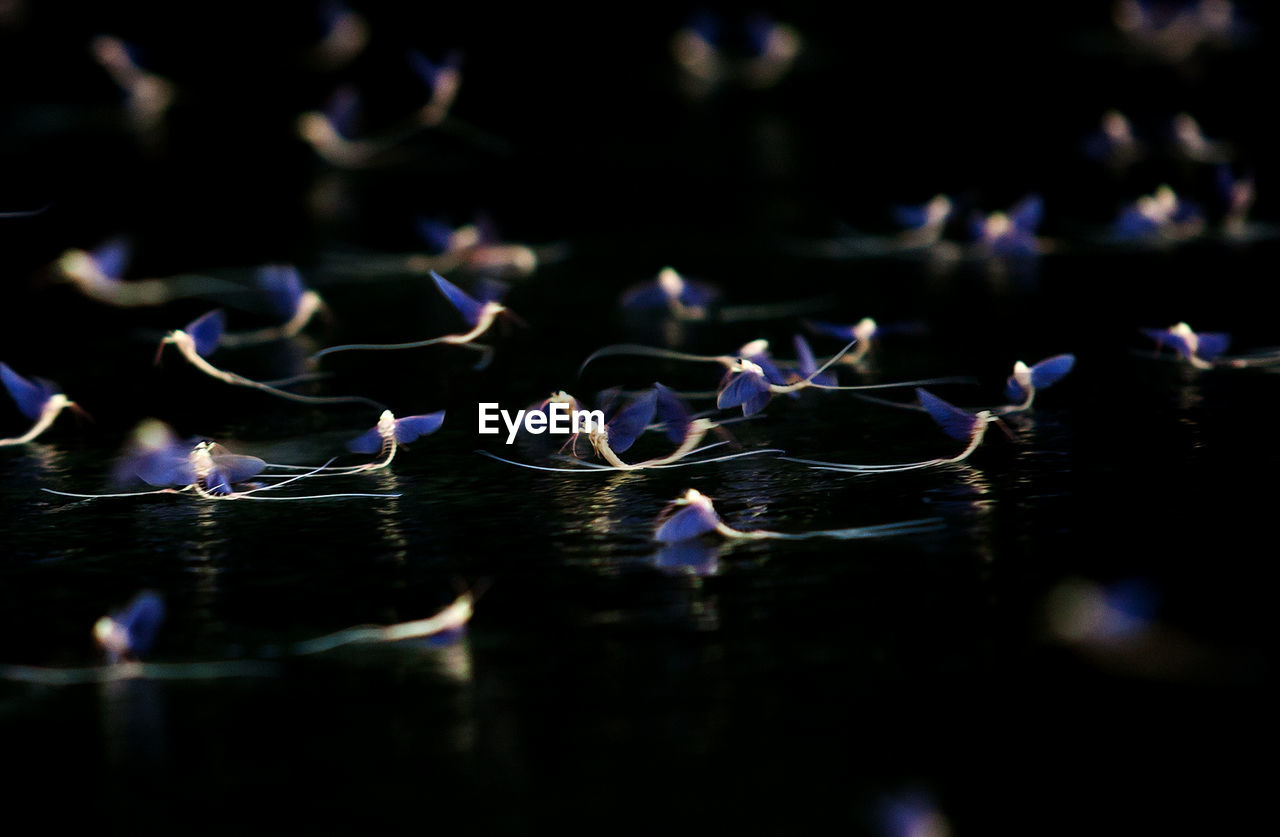 REFLECTION OF BLUE SKY IN WATER AT NIGHT