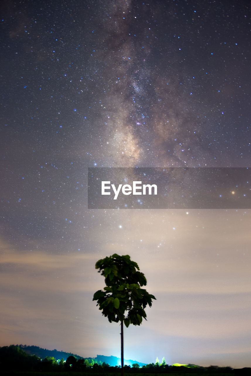 star, sky, night, tree, space, astronomy, scenics - nature, beauty in nature, plant, astronomical object, nature, galaxy, tranquility, environment, landscape, tranquil scene, no people, milky way, science, star field, space and astronomy, land, silhouette, cloud, outdoors, idyllic, infinity, non-urban scene, blue, constellation