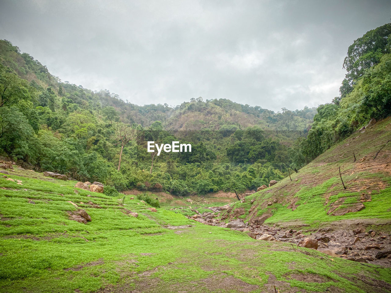 SCENIC VIEW OF LANDSCAPE