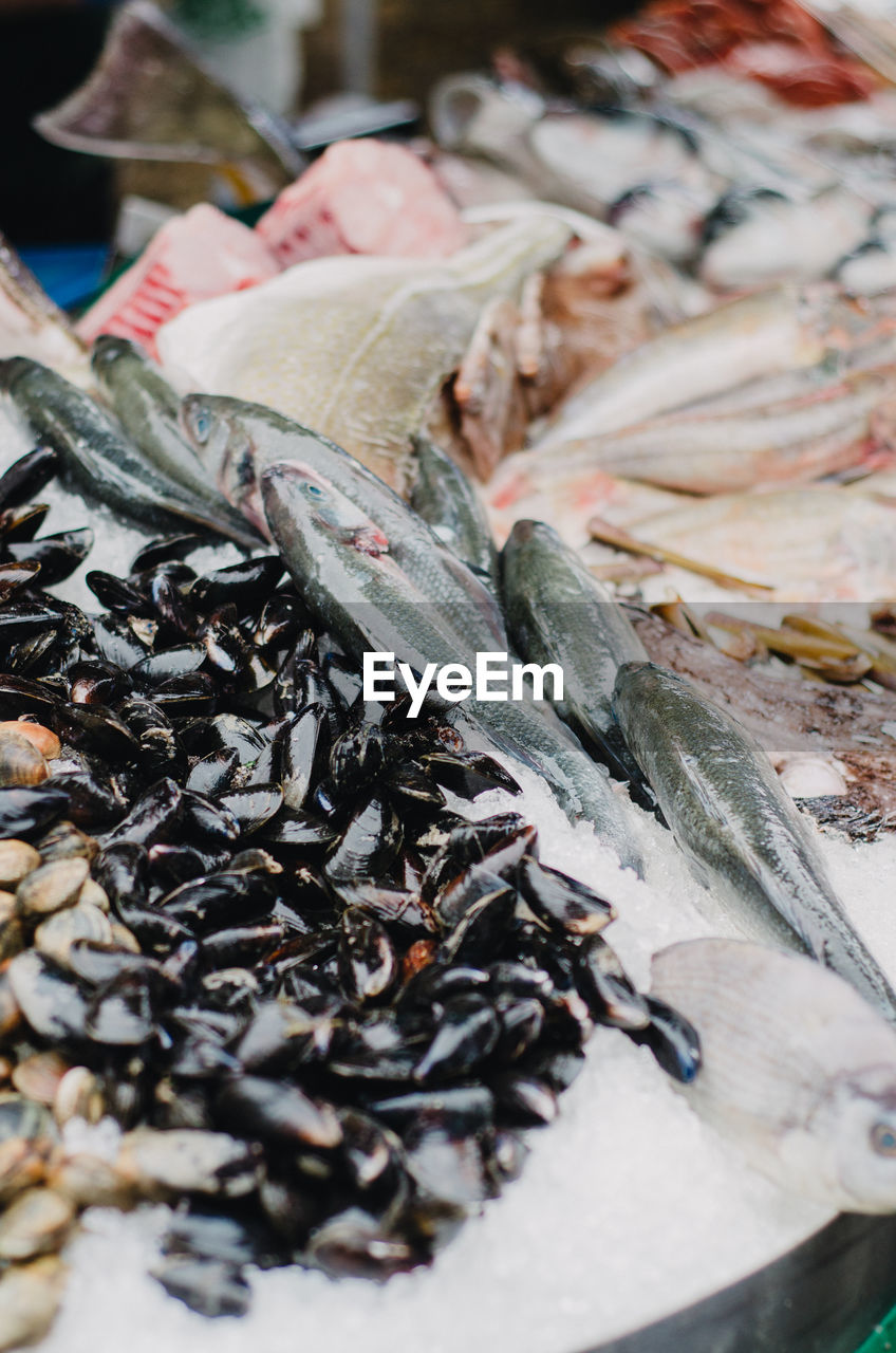 Mussels and fish for sale at market