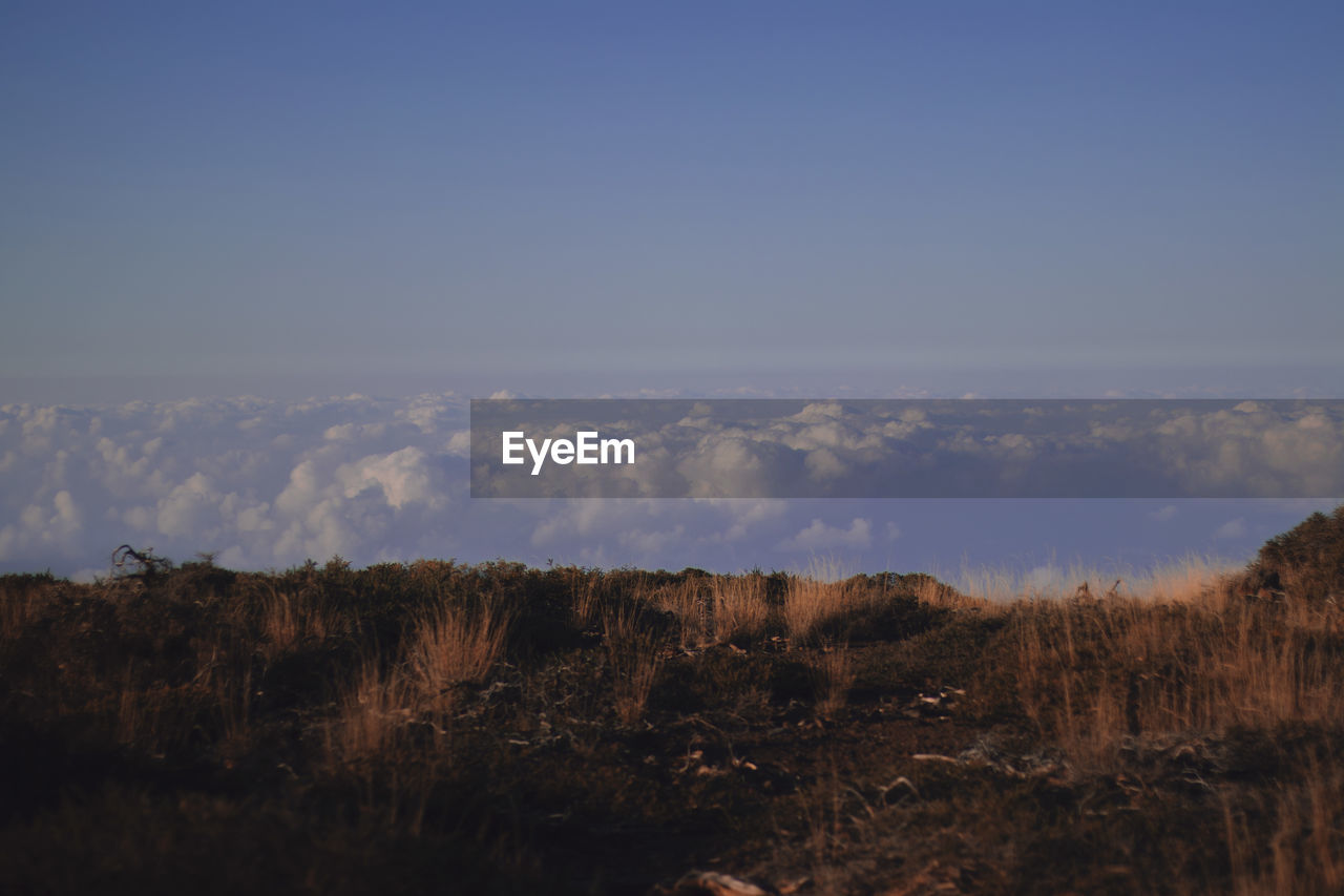 SCENIC VIEW OF LAND AGAINST SKY