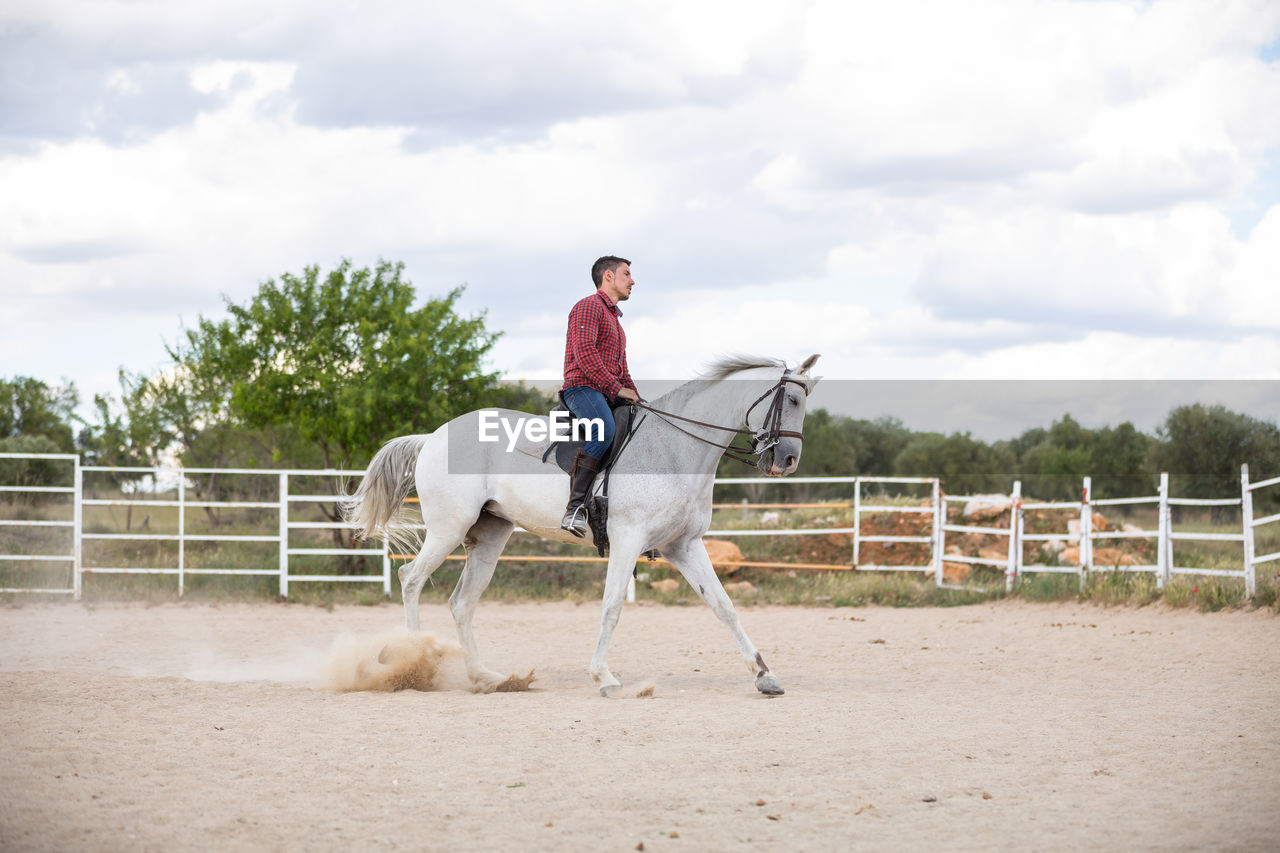VIEW OF HORSE RIDING HORSES ON LANDSCAPE