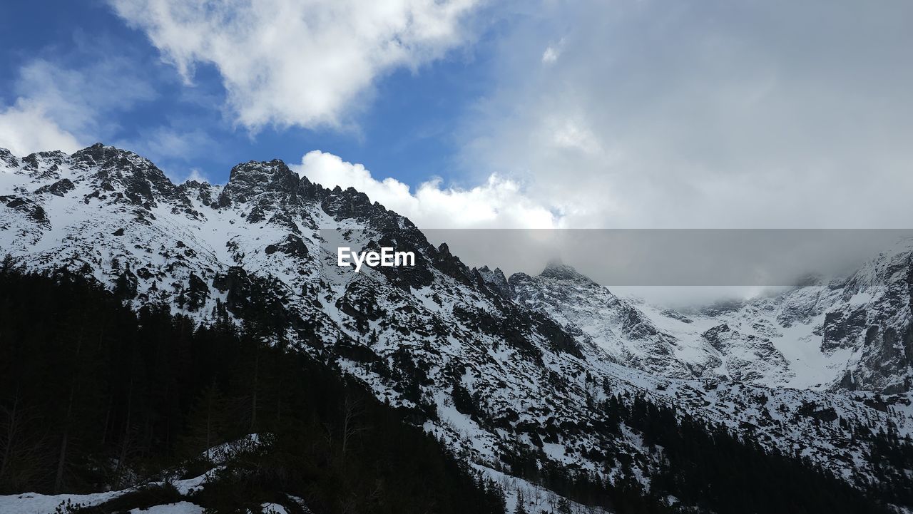 snow, mountain, cold temperature, winter, sky, scenics - nature, cloud, beauty in nature, environment, nature, mountain range, landscape, snowcapped mountain, tree, forest, pinaceae, pine tree, coniferous tree, travel destinations, travel, no people, ridge, land, plant, mountain peak, non-urban scene, tranquility, pine woodland, outdoors, tranquil scene, tourism, day, holiday, summit, winter sports, vacation, trip, sports