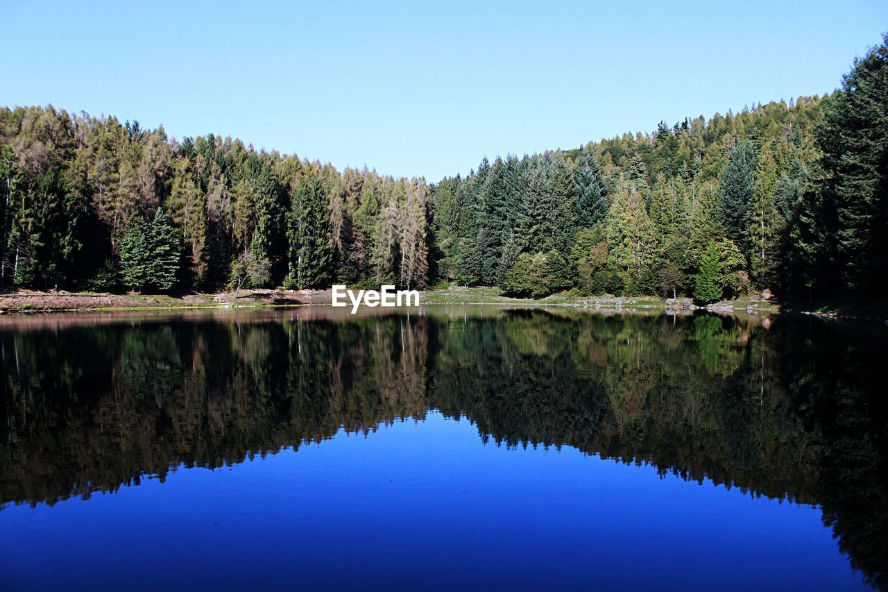 Reflection of trees in lake against clear sky
