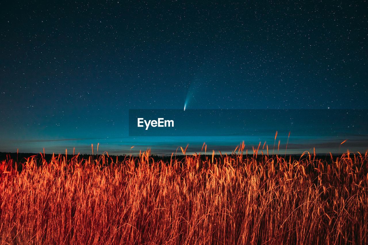 Scenic view of field against sky at night