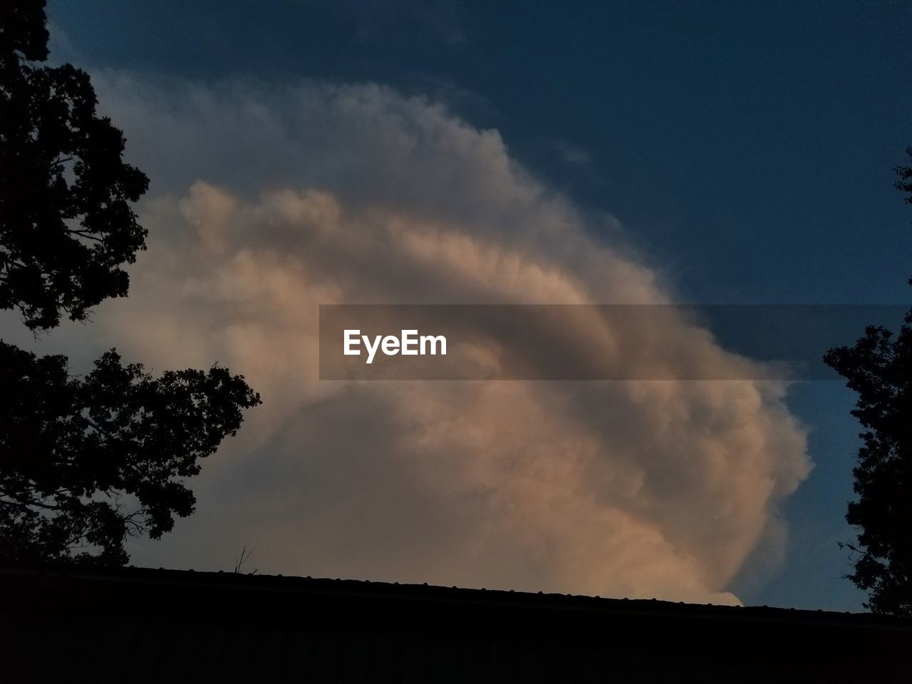 LOW ANGLE VIEW OF SILHOUETTE TREE AGAINST SKY