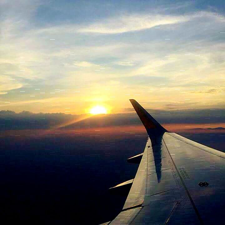 CROPPED IMAGE OF AIRPLANE FLYING OVER SEA