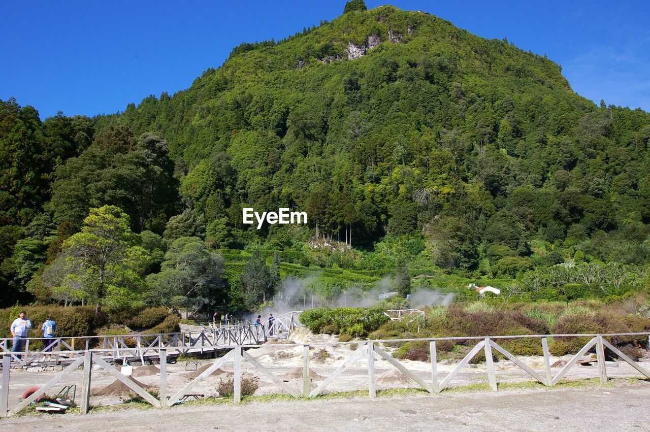 SCENIC VIEW OF TREES BY MOUNTAINS AGAINST SKY