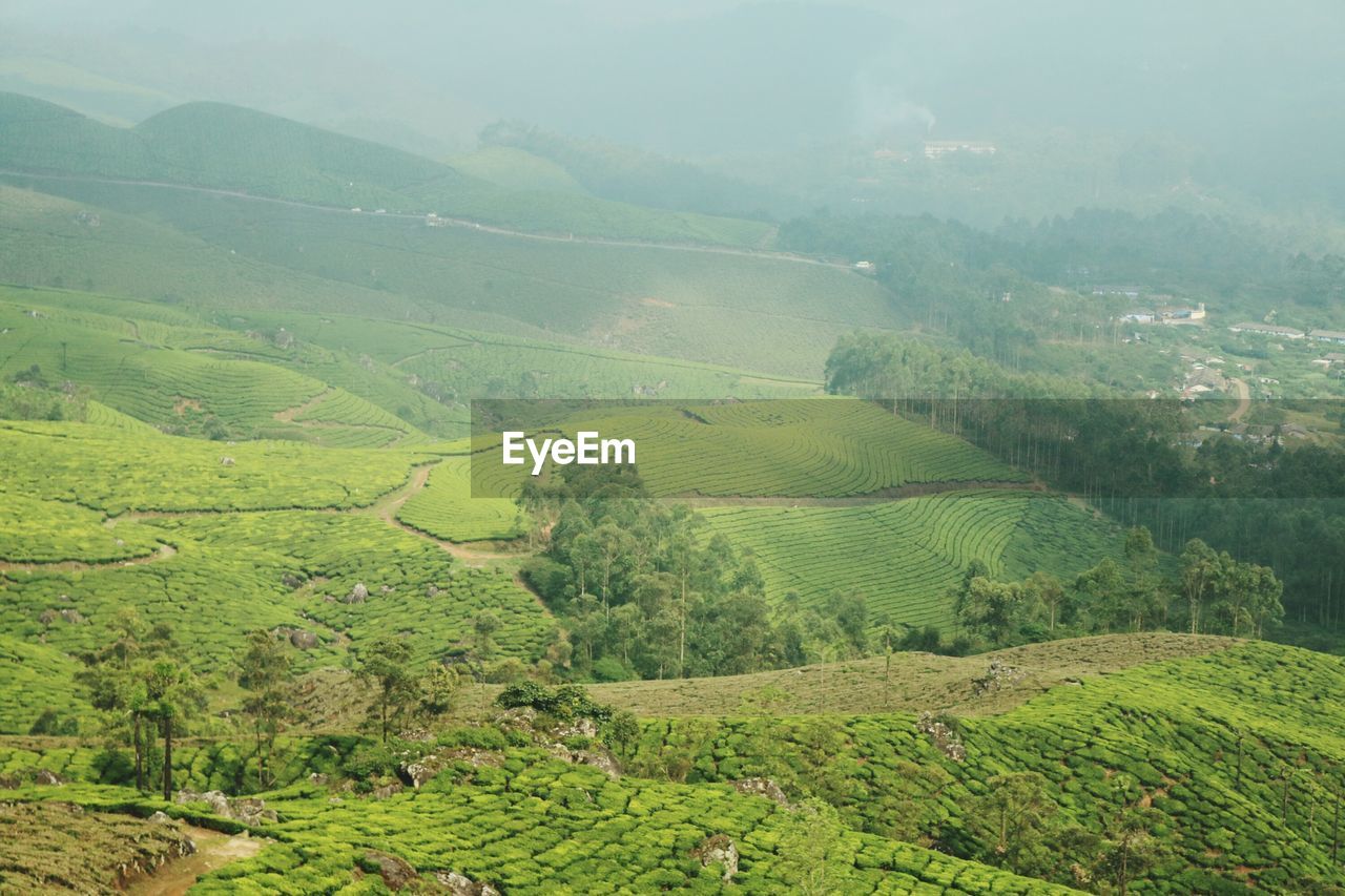 Scenic view of green landscape