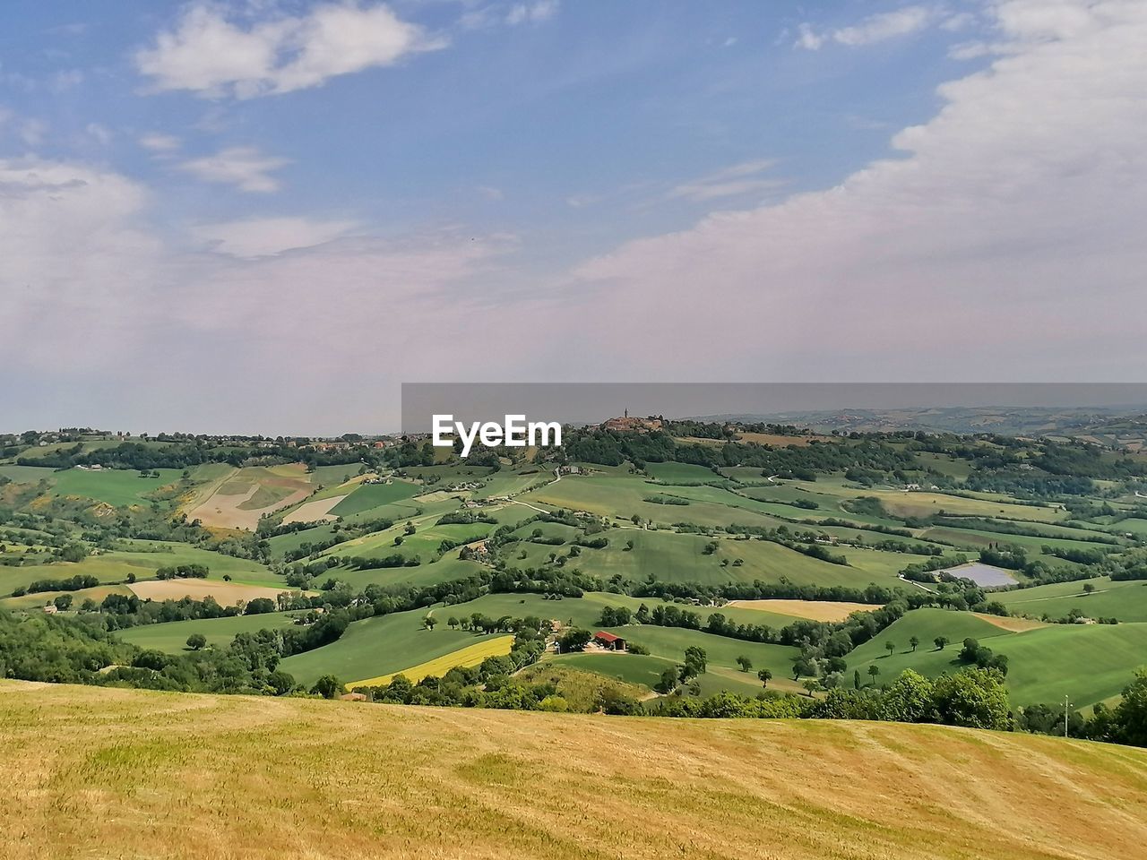 Scenic view of agricultural field against sky