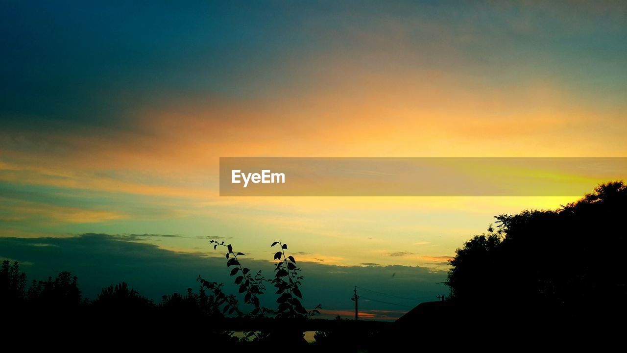 SILHOUETTE TREES AGAINST SKY DURING SUNSET