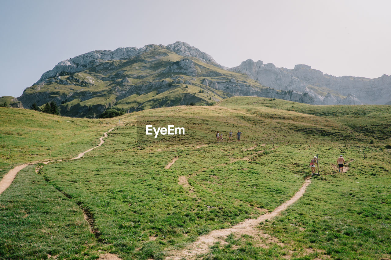 Scenic view of field and mountains against clear sky