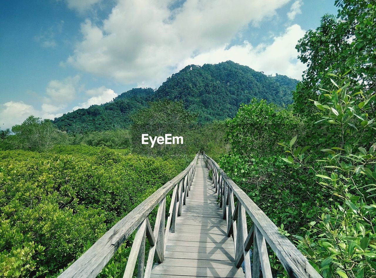 PANORAMIC VIEW OF FOOTBRIDGE AGAINST SKY