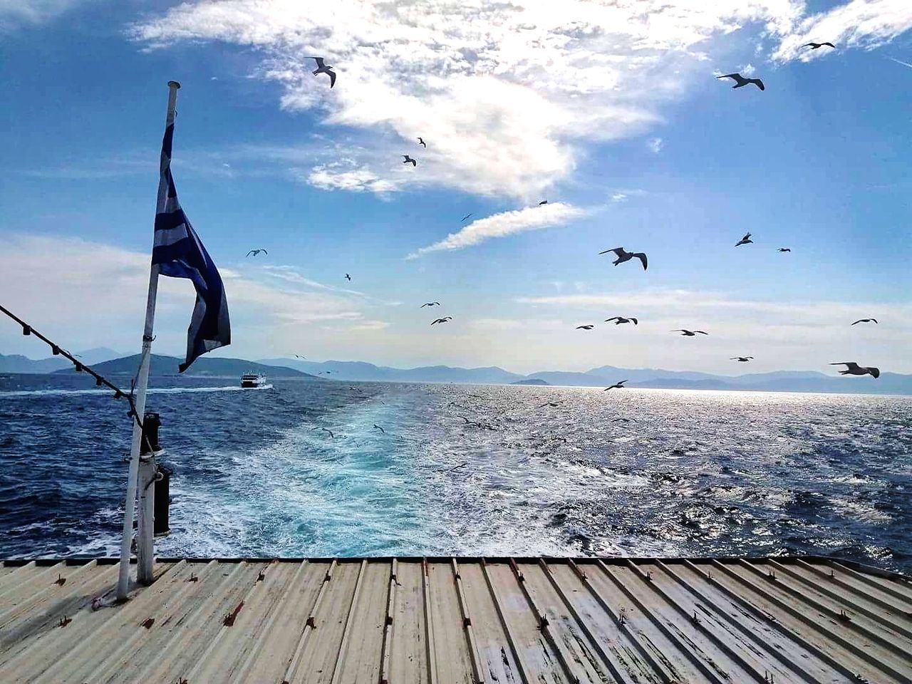 BIRDS FLYING OVER SEA