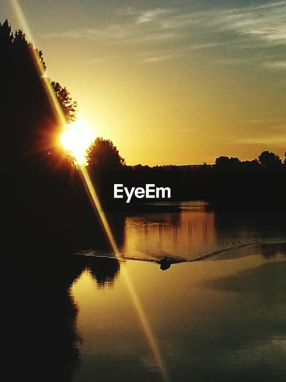 Silhouette trees by lake at sunset