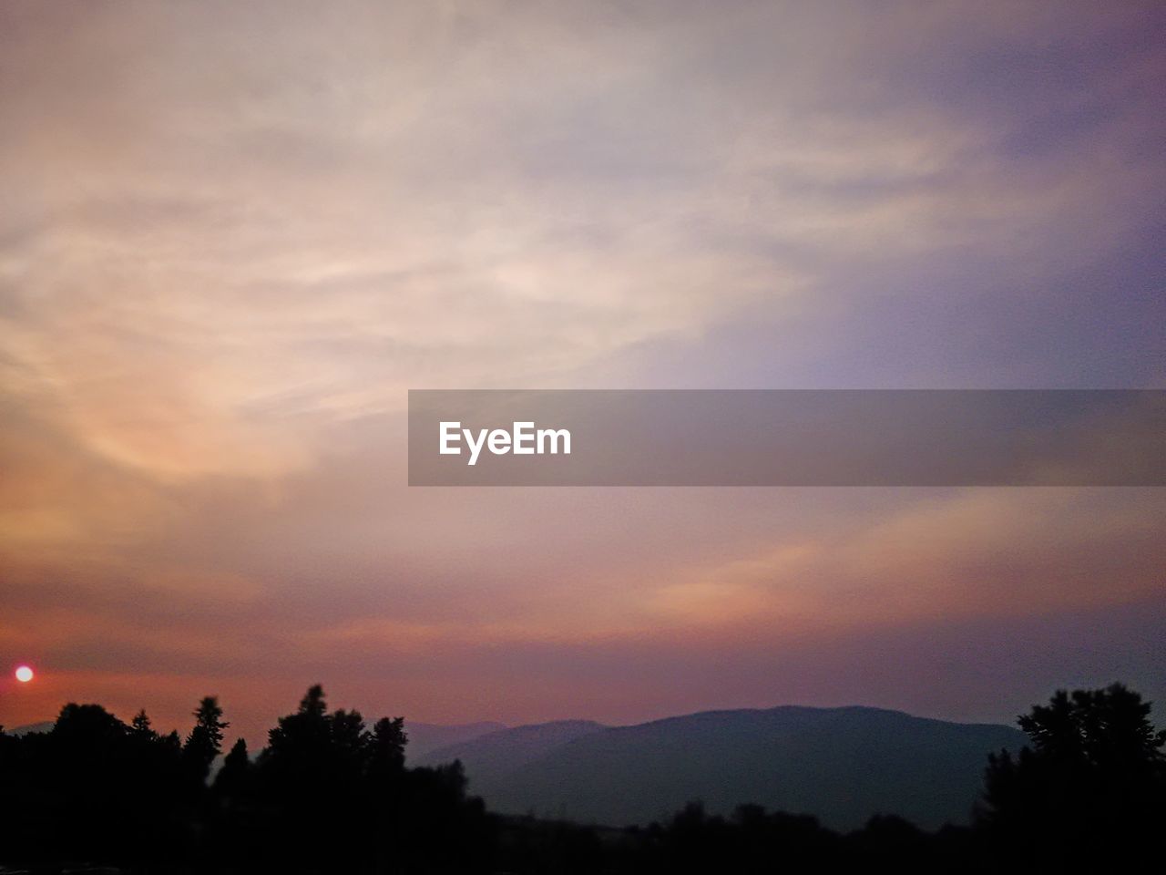 SILHOUETTE OF TREES AGAINST SKY AT SUNSET