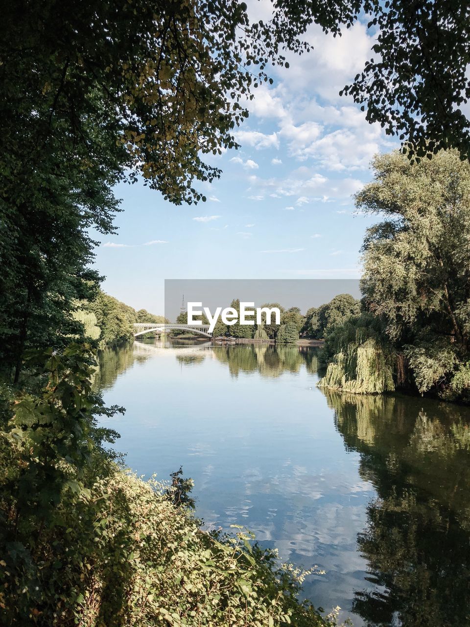 SCENIC VIEW OF LAKE AMIDST TREES AGAINST SKY