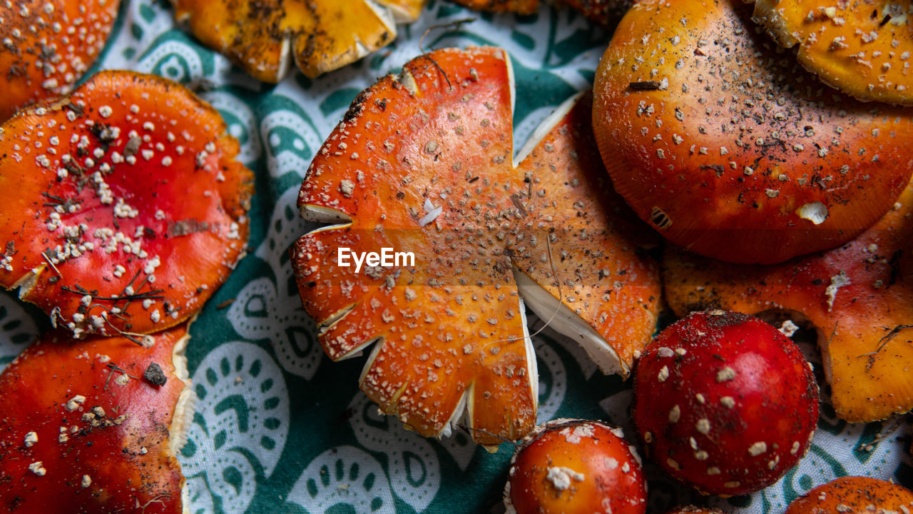 HIGH ANGLE VIEW OF FRUITS